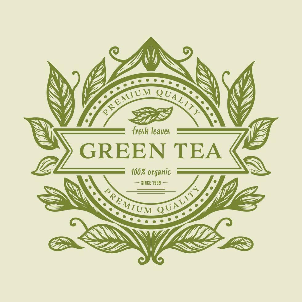 hand drawn green tea logo design with illustration of tea leaves on vintage emblem stamp vector