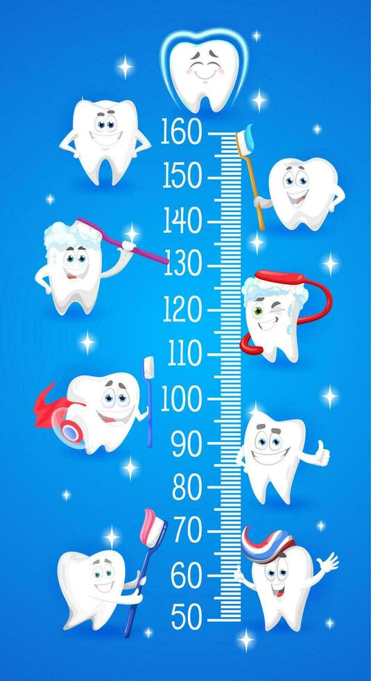 Cartoon teeth with toothbrush. Kids height chart vector