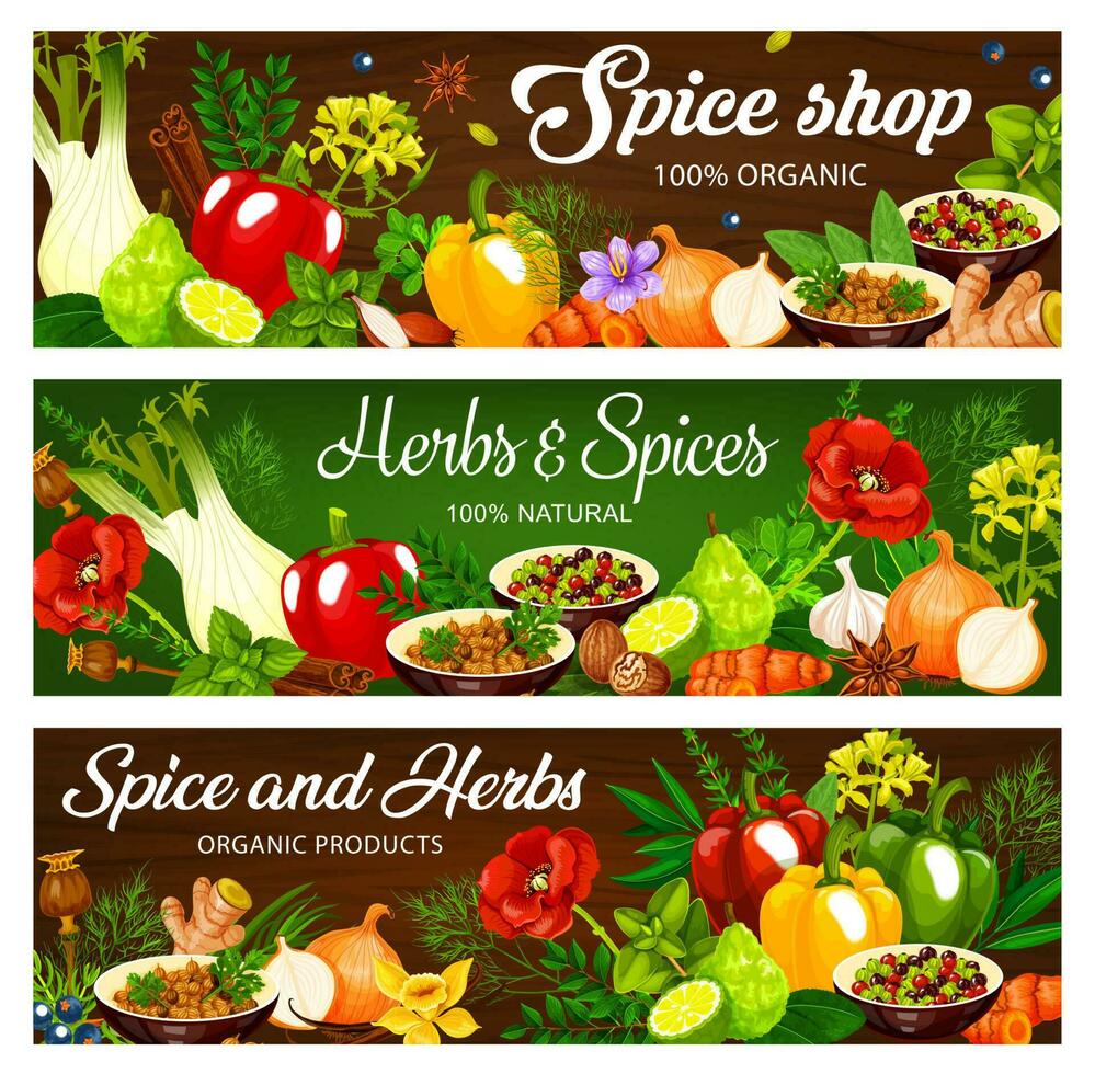 Herbs and spices, seasonings vector banners