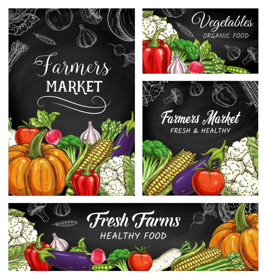 Fresh vegetable or veggie sketches on blackboard vector