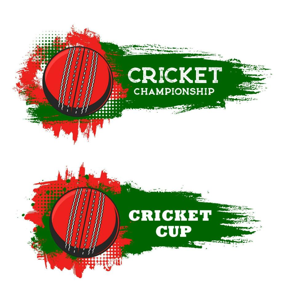 Cricket championship cup, sport game club banner vector