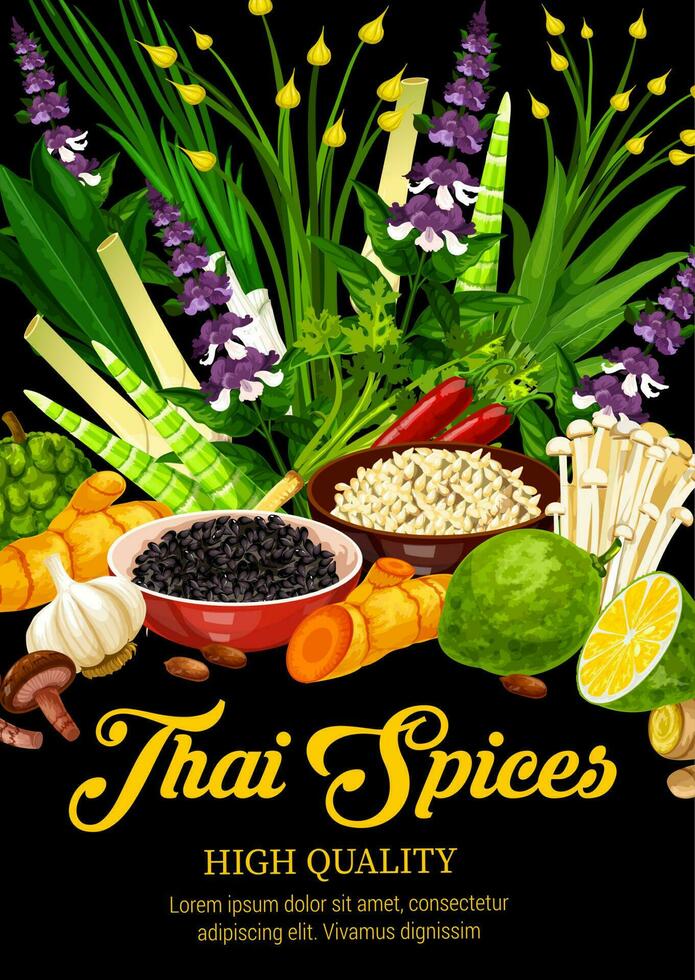 Thai spices, herbs, food condiments and seasonings vector