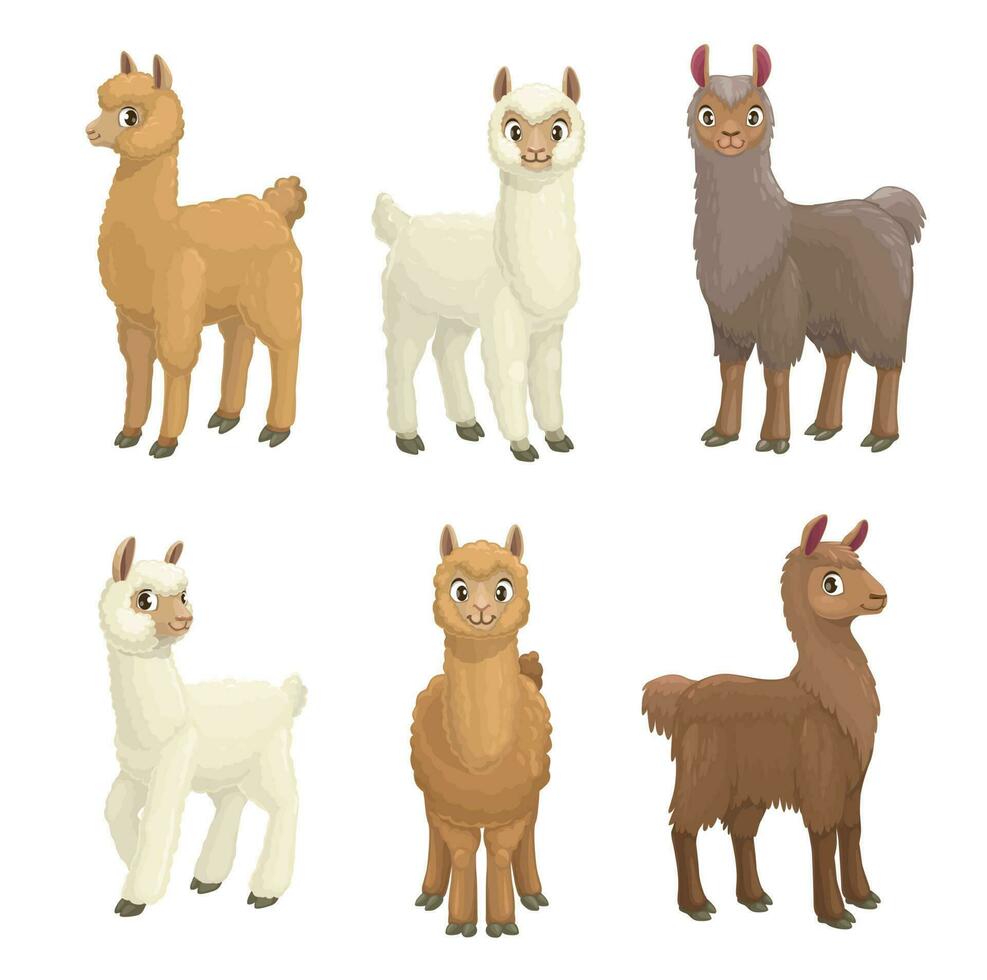 lama, alpaca, guanaco, llama y vicuña animales vector