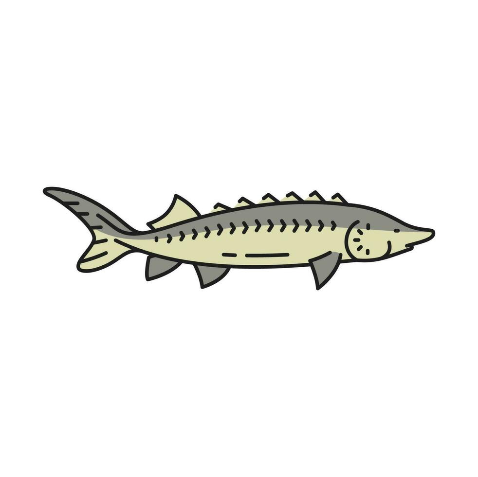Fishing industry sturgeon fish outline icon vector