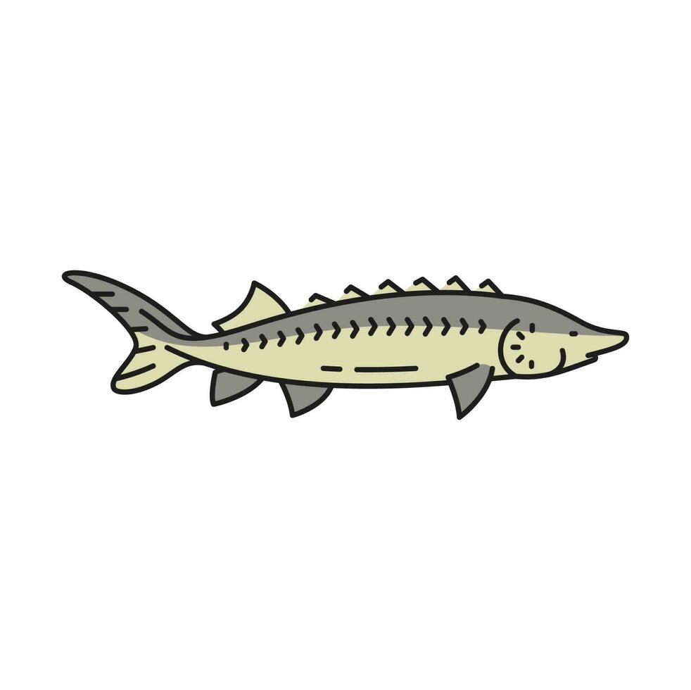 pescar industria esturión pescado contorno icono vector