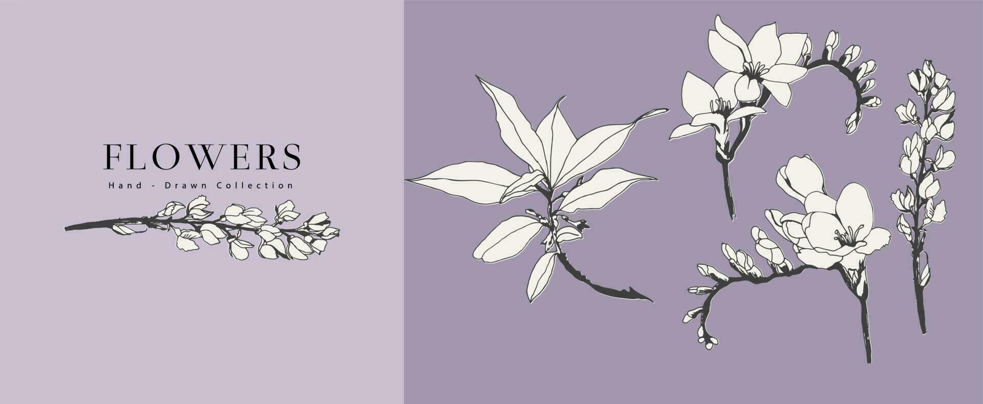 vintage botanical collection. vector