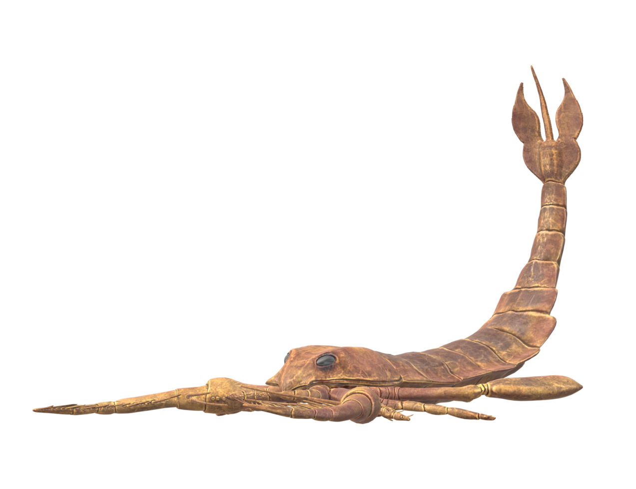 Jaekelopterus isolated on a Transparent Background png