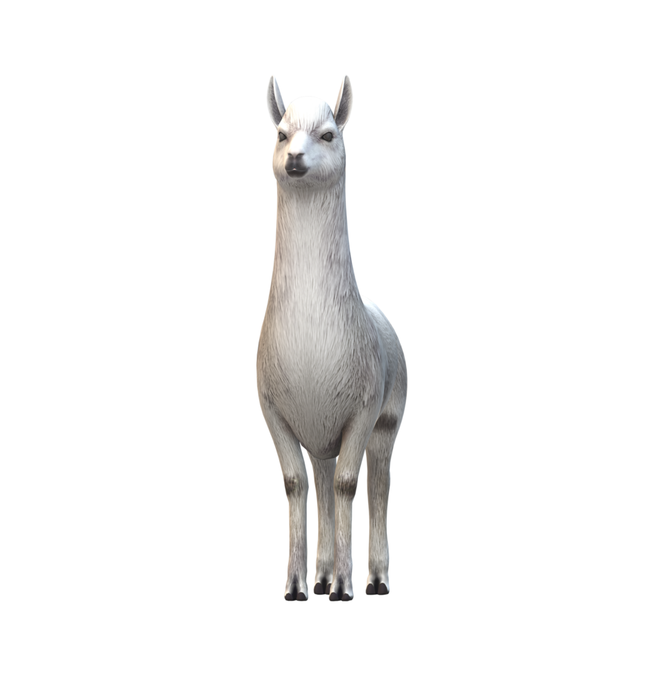 Alpaca isolated on a Transparent Background png