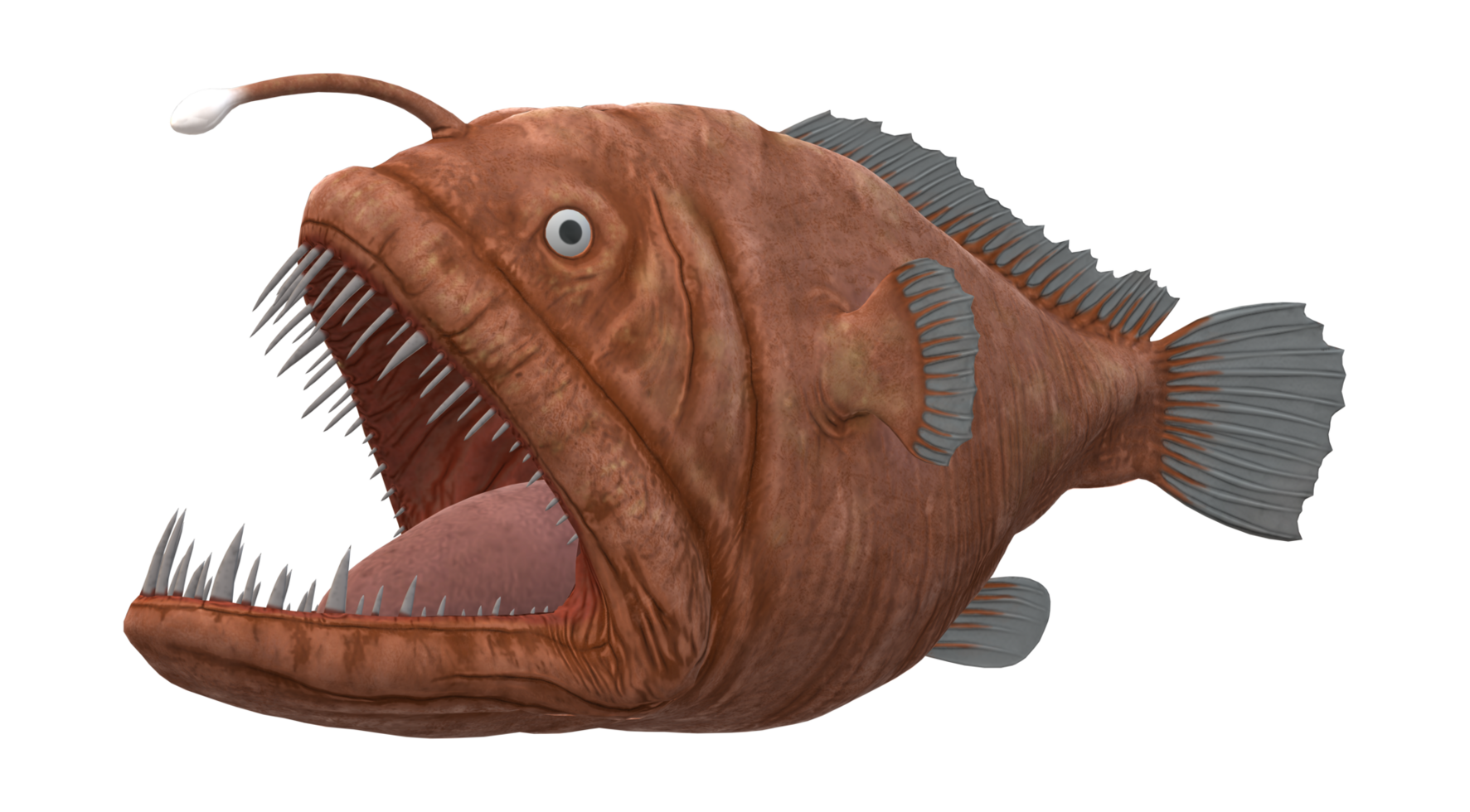 Angler Fish isolated on a Transparent Background png