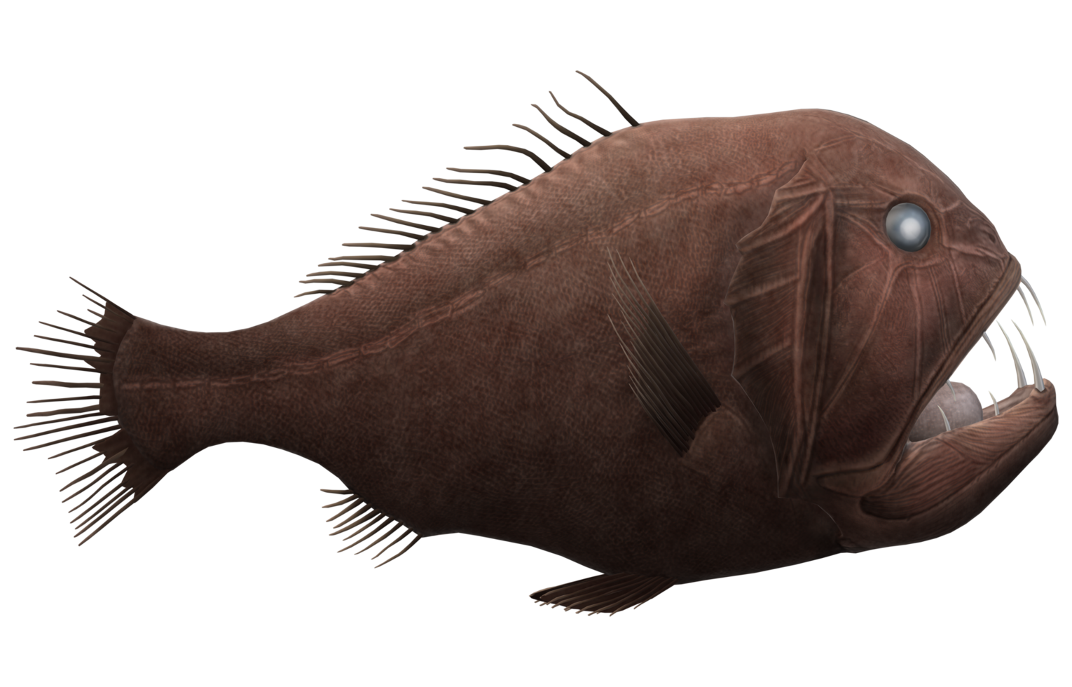 Fangtooth Fish isolated on a Transparent Background png