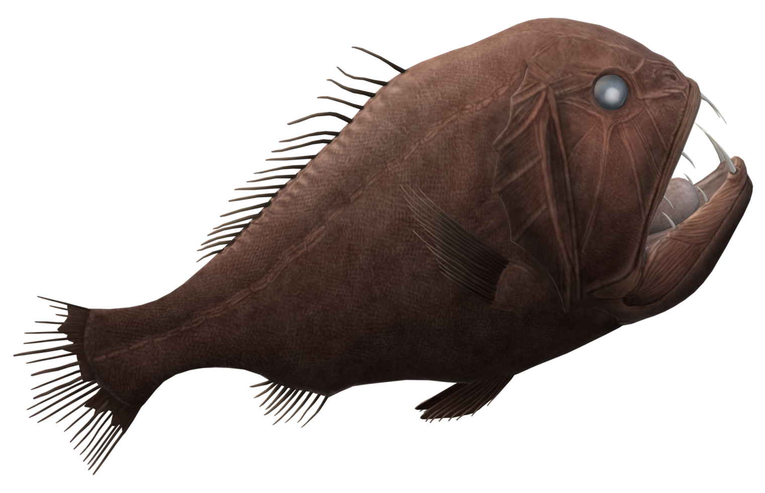 Fangtooth Fish isolated on a Transparent Background png