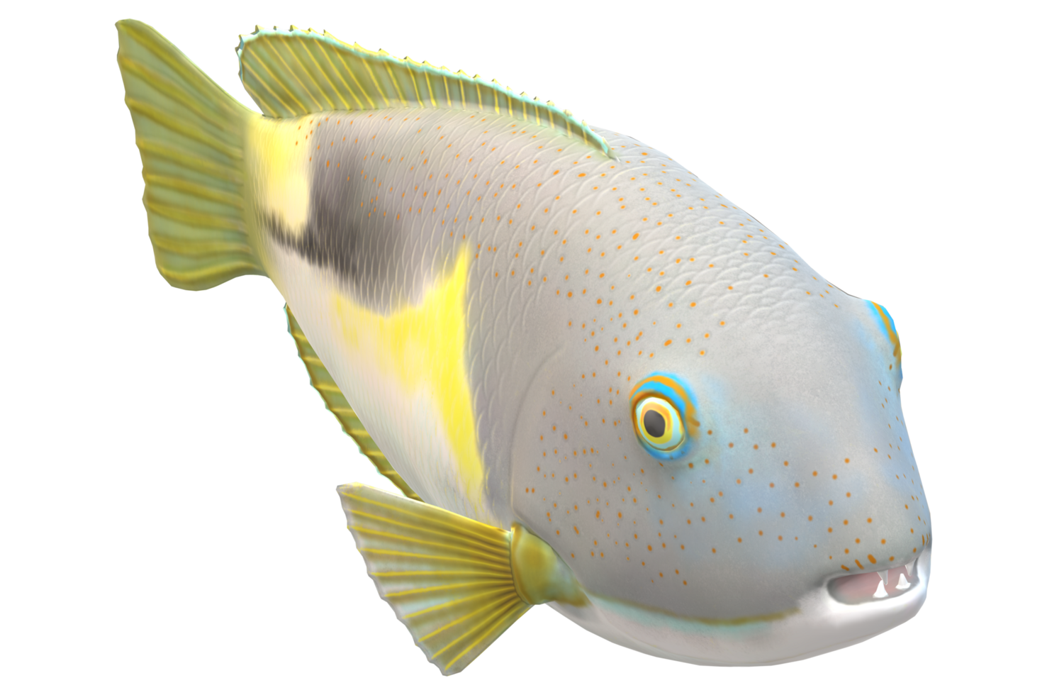 défense poisson isolé sur une transparent Contexte 23839439 PNG