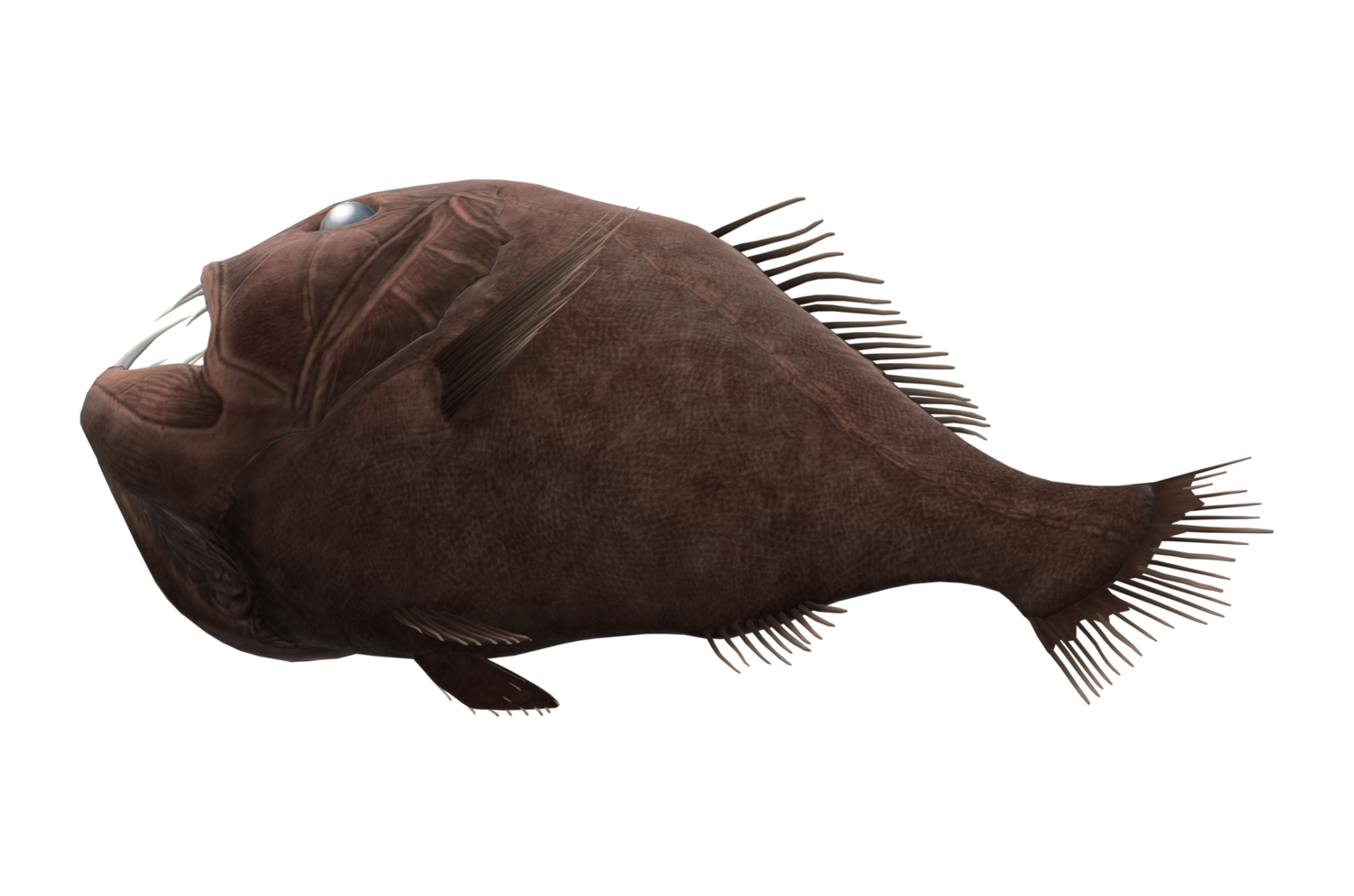 Fangtooth Fish isolated on a Transparent Background png