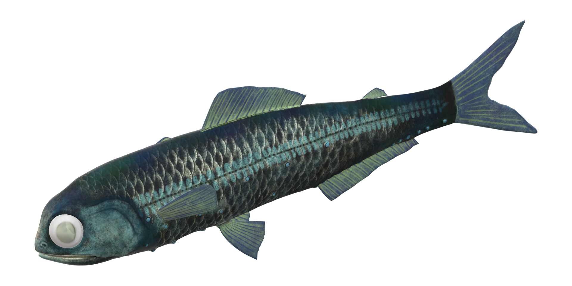 Lanternfish isolated on a Transparent Background png