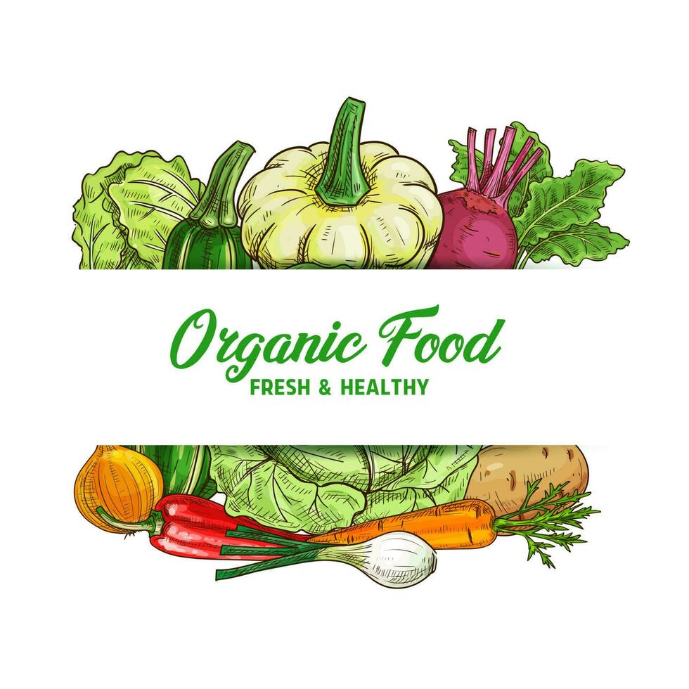Fresh vegetable food and farm veggies sketches vector