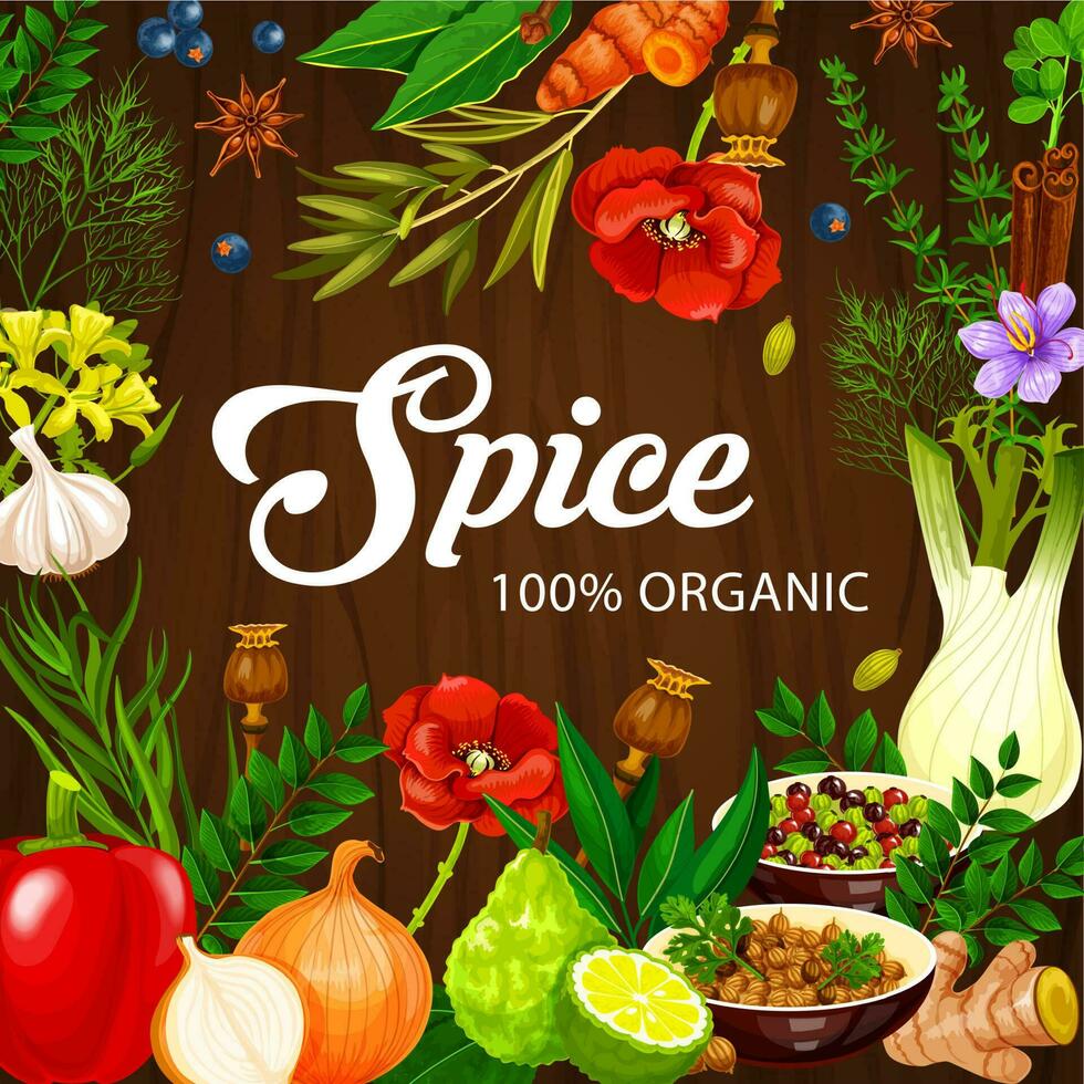 Spices and herbs, cooking seasonings, condiments vector