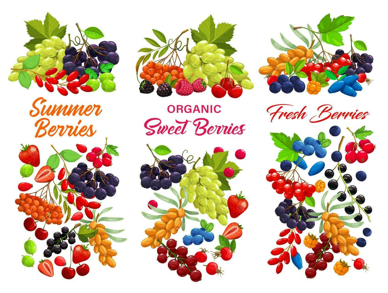 Cartoon berries vector sweet juicy garden crop set