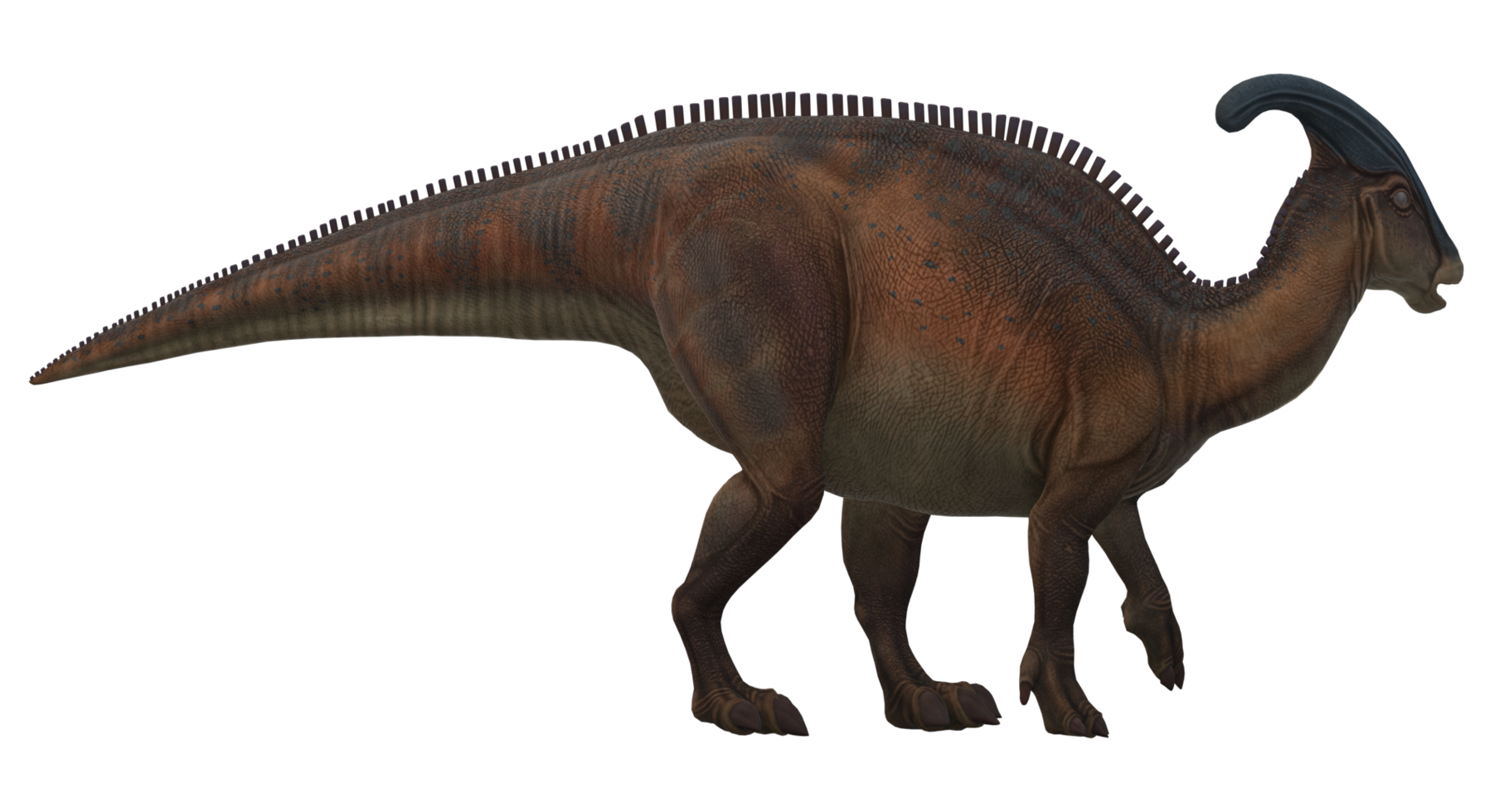 Dinosaur isolated on a Transparent Background png