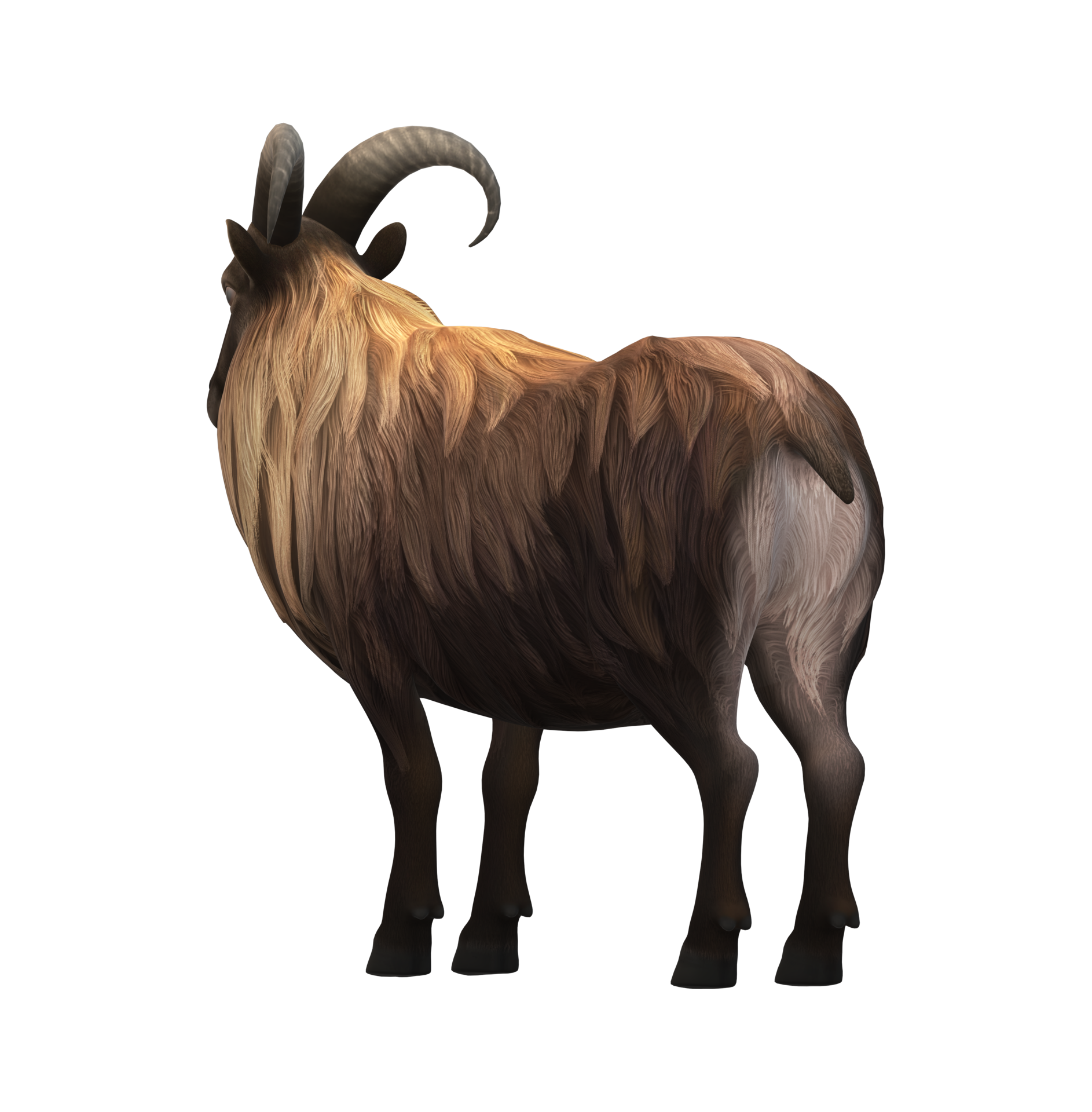 Mtn Goat Dinar Guru - w2fryfy
