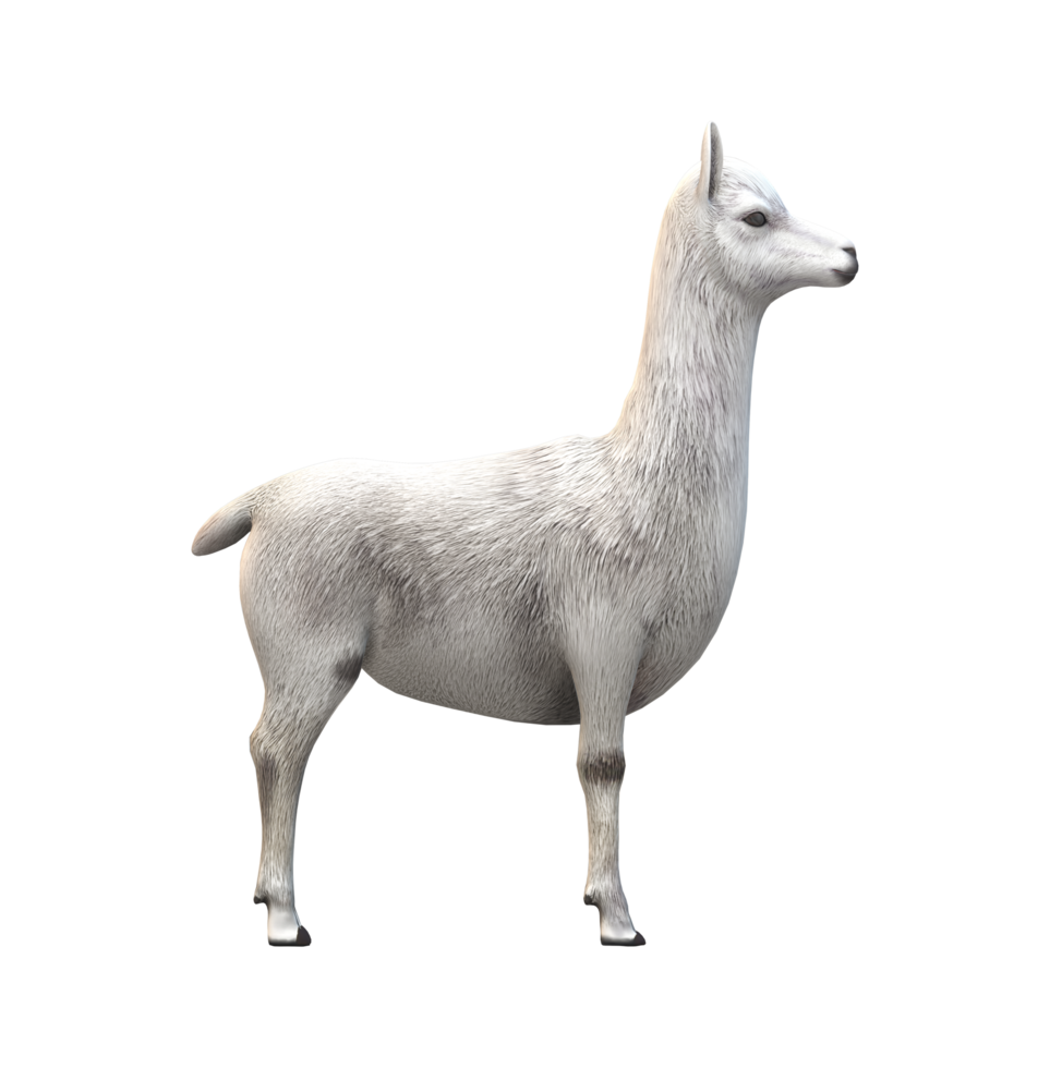 alpaca aislado en un transparente antecedentes png