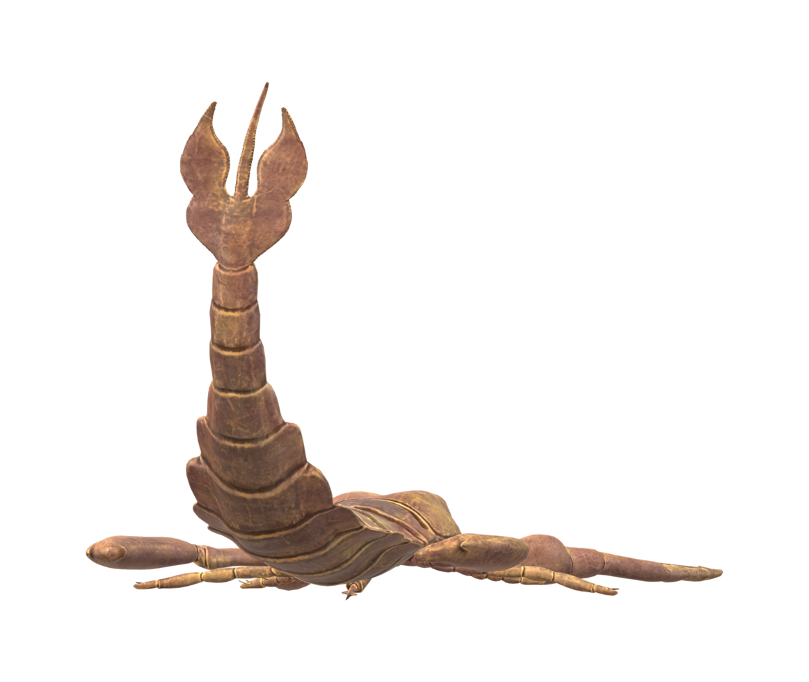 Jaekelopterus isolated on a Transparent Background png