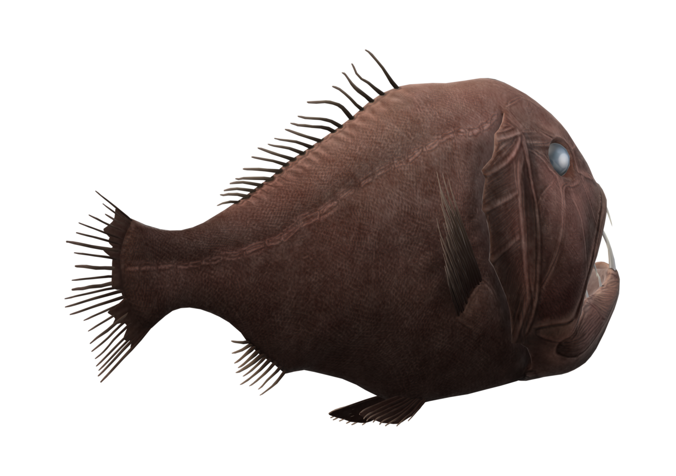Fangtooth Fish isolated on a Transparent Background png