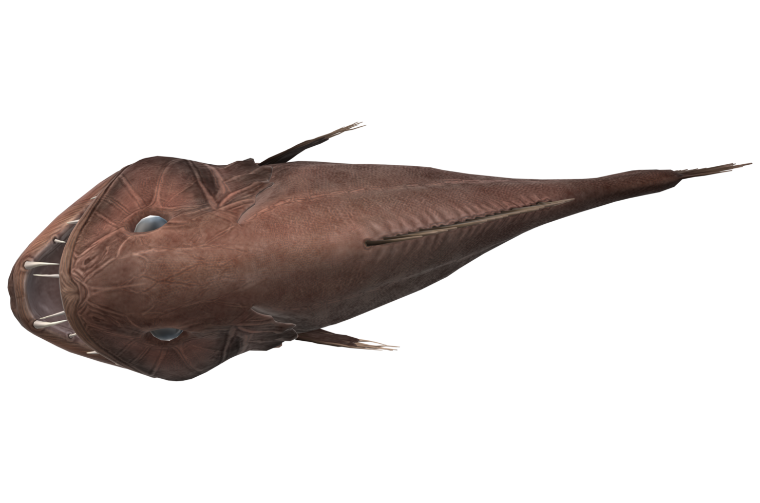 Fangtooth Fish isolated on a Transparent Background png