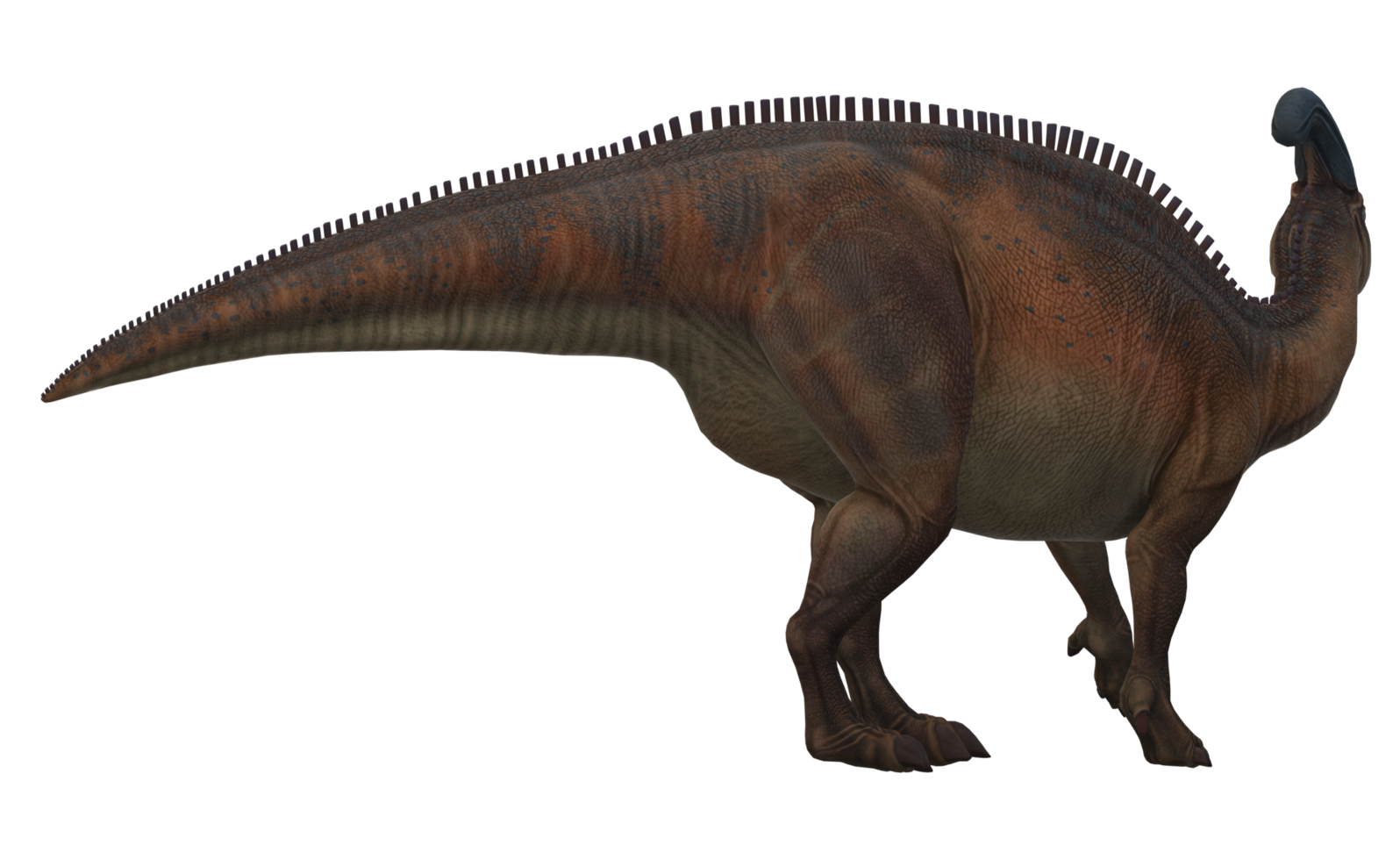 Dinosaurier isoliert auf ein transparent Hintergrund png