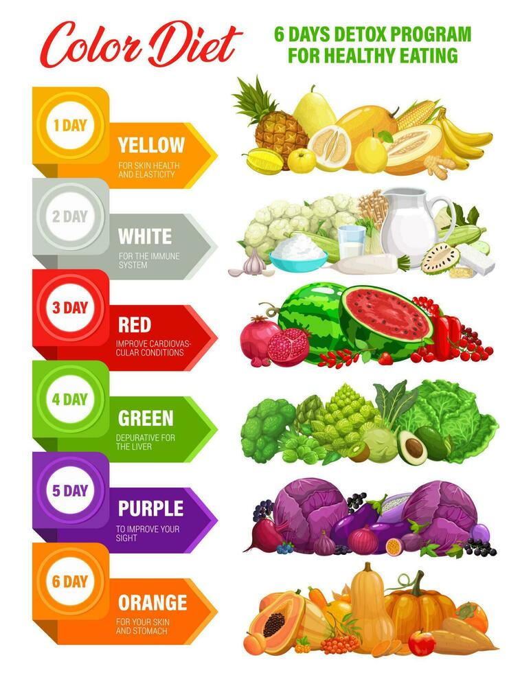 color arco iris dieta, desintoxicación nutrición infografia vector