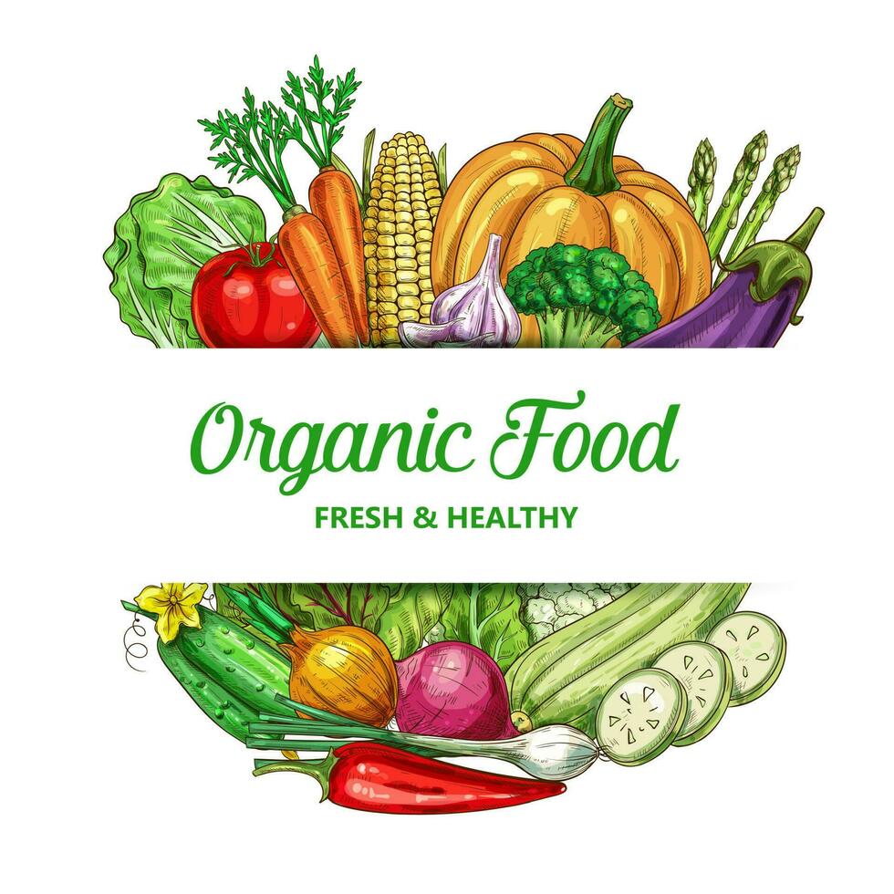 Farm vegetable vector frame with organic food