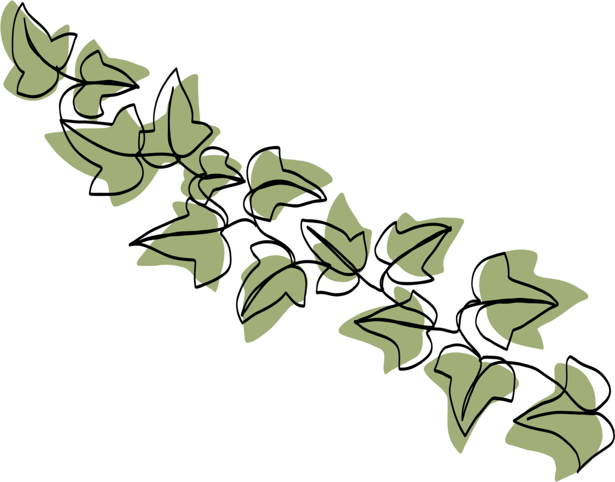 simplicity ivy continuous freehand drawing. png