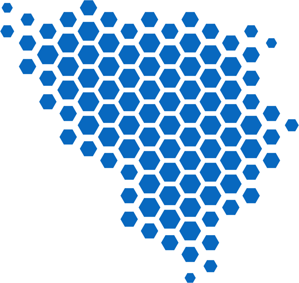 hexagone forme de Bosnie carte. png