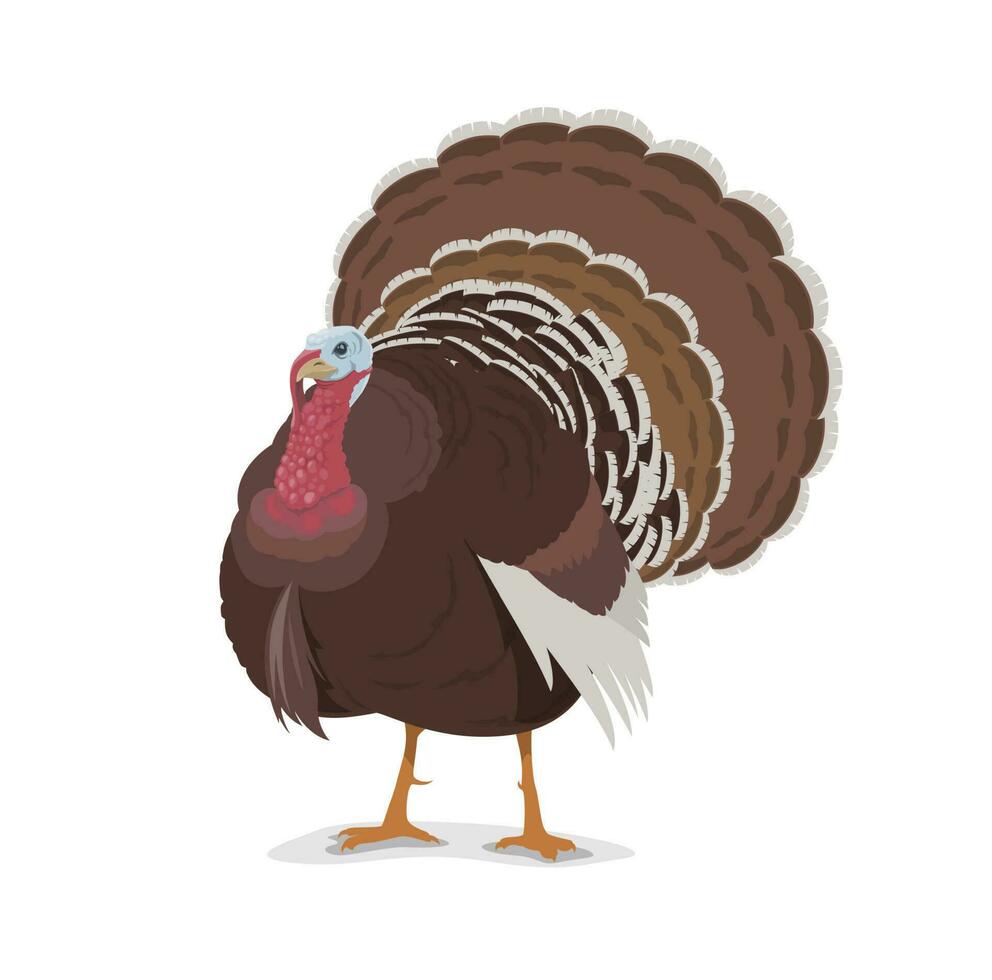 Turkey vector cartoon mascot, poultry farm fowl