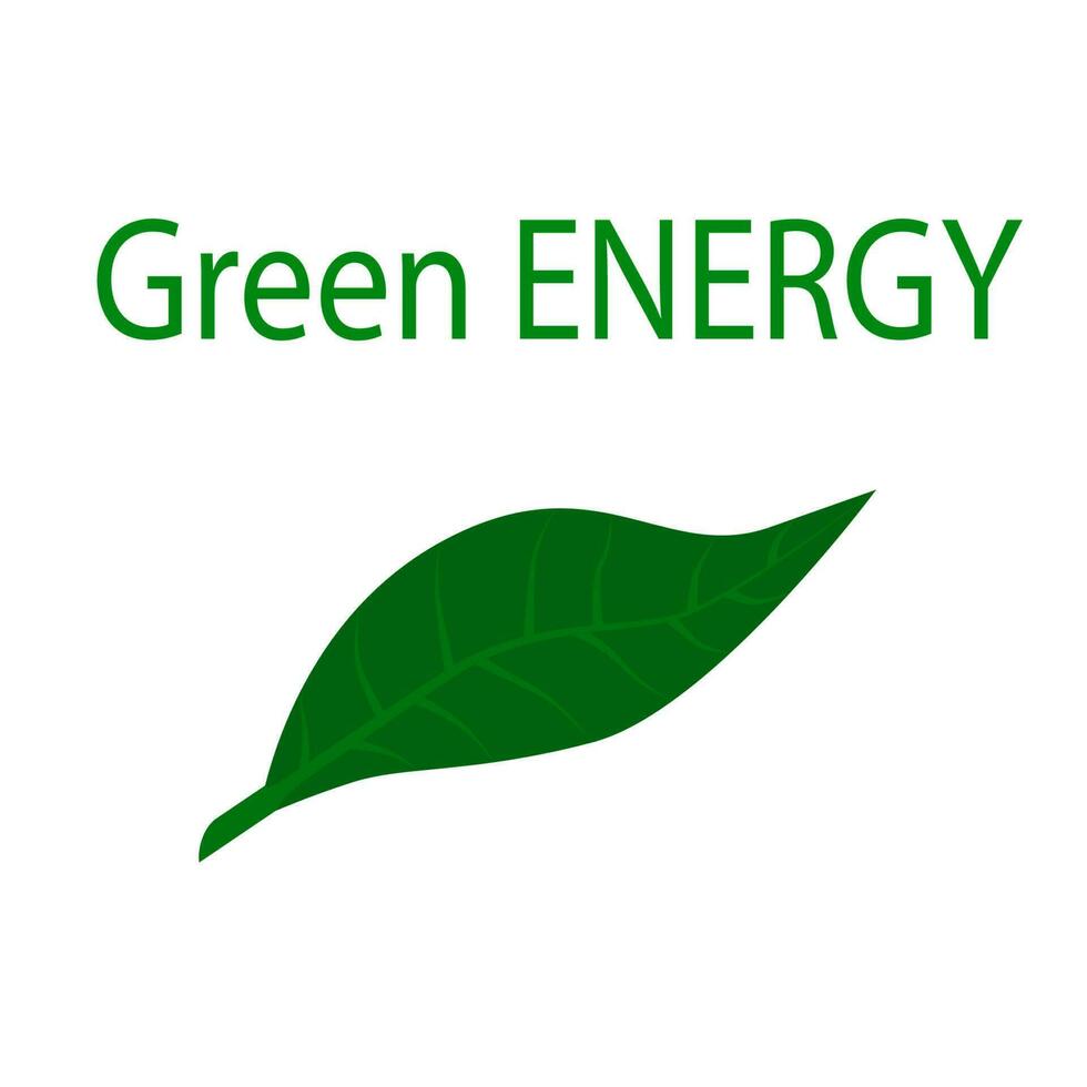 Green leaf icon. Safe green energy. Isolated vector EPS10. 23841305