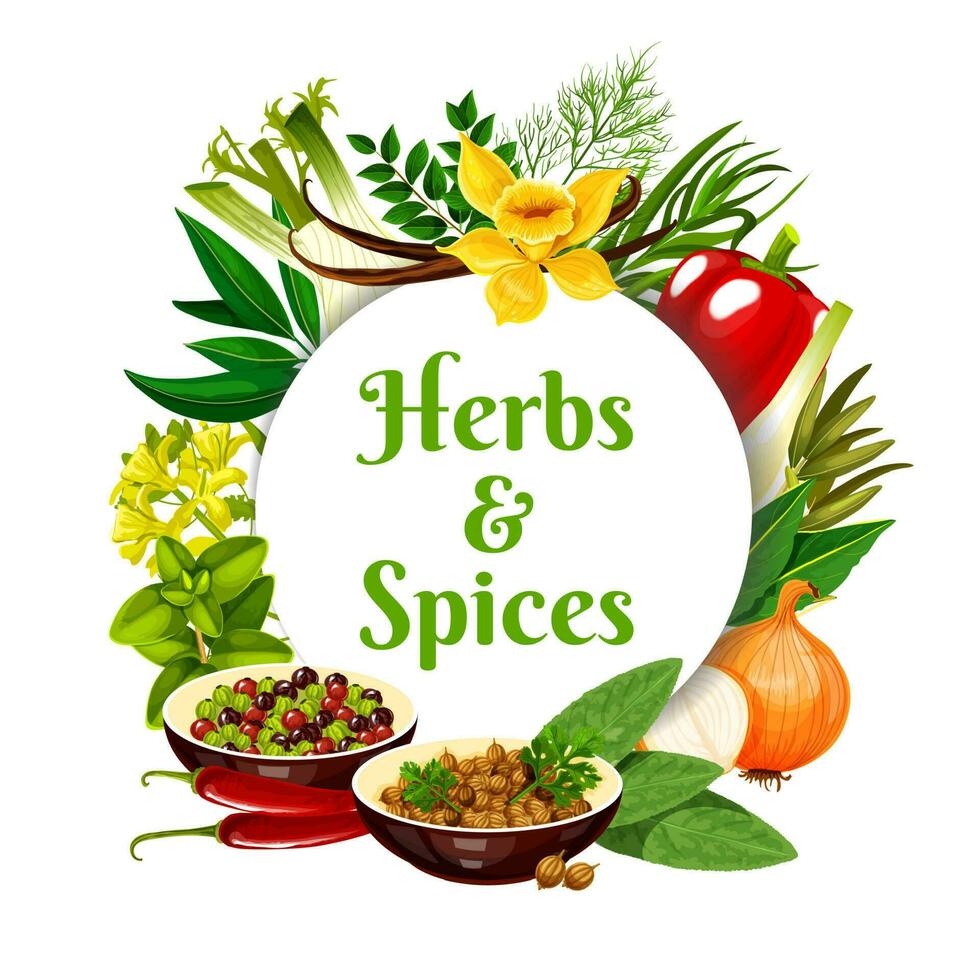 Herbs and spices vector round frame cartoon banner