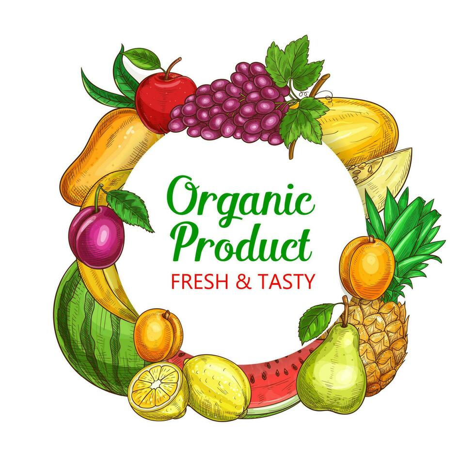 Fresh fruits vector sketch round frame, banner