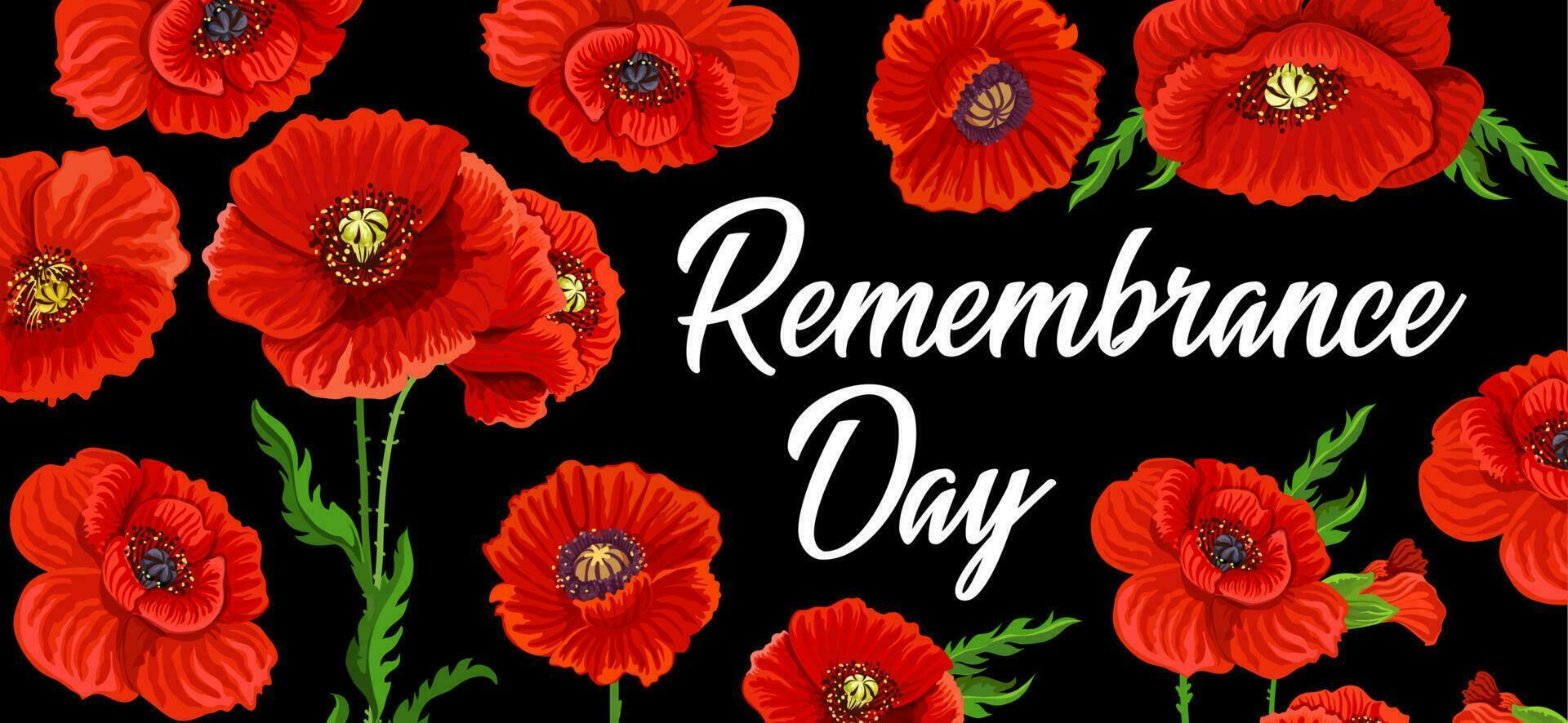 Remembrance day and Anzac poppy flowers memorial vector