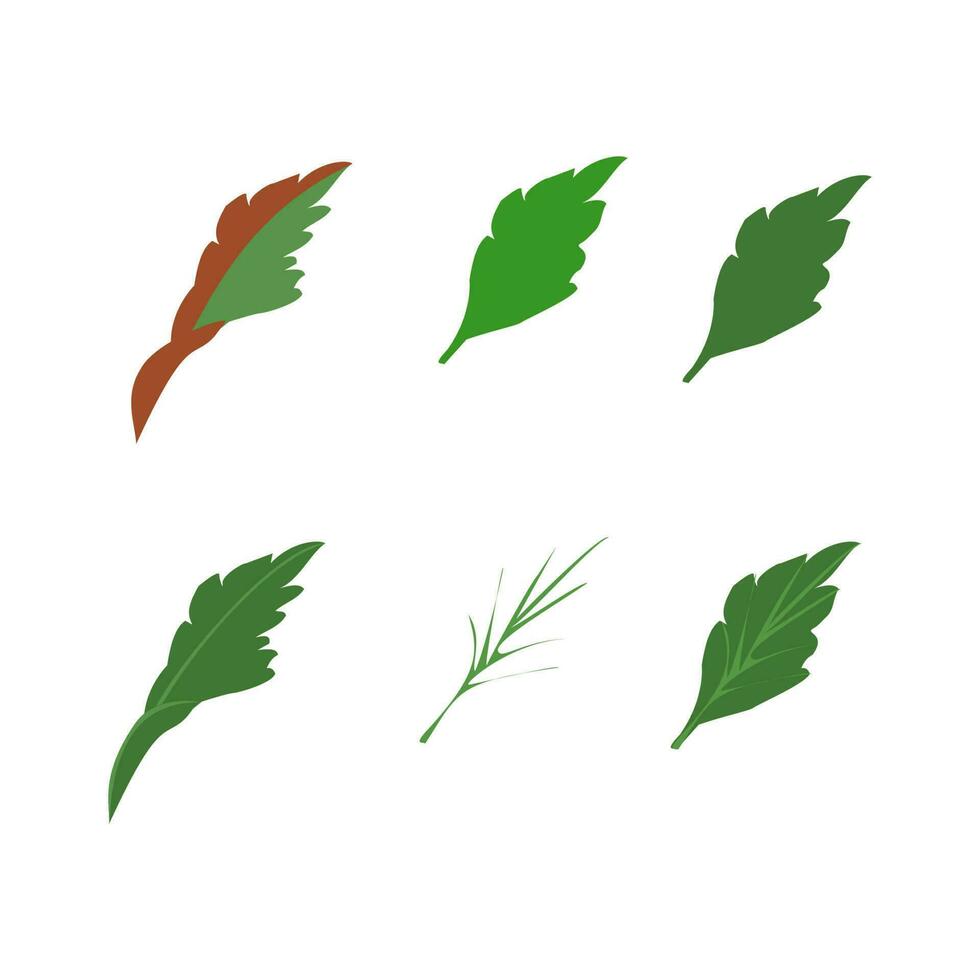 Set of watercolor green leaves elements. Collection botanical vector isolated on white background suitable for Wedding Invitation, save the date, thank you, or greeting card.