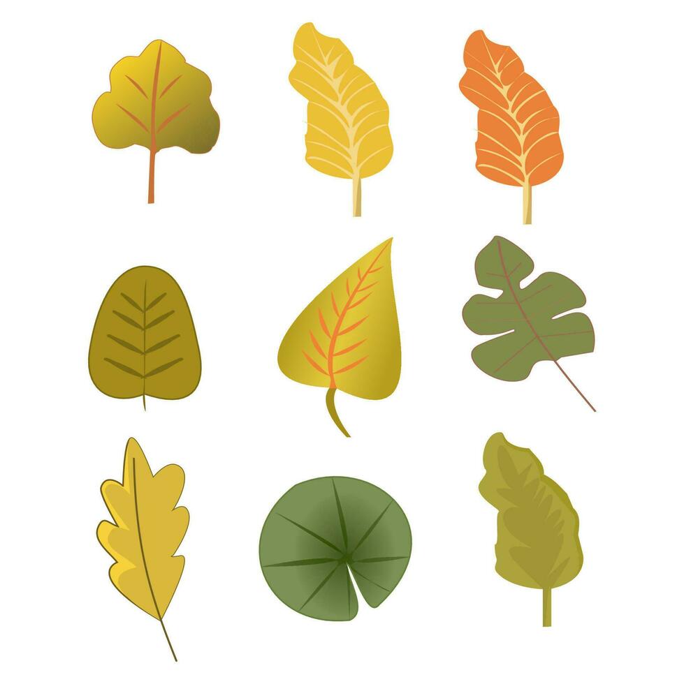 Set of watercolor green leaves elements. Collection botanical vector isolated on white background suitable for Wedding Invitation, save the date, thank you, or greeting card.