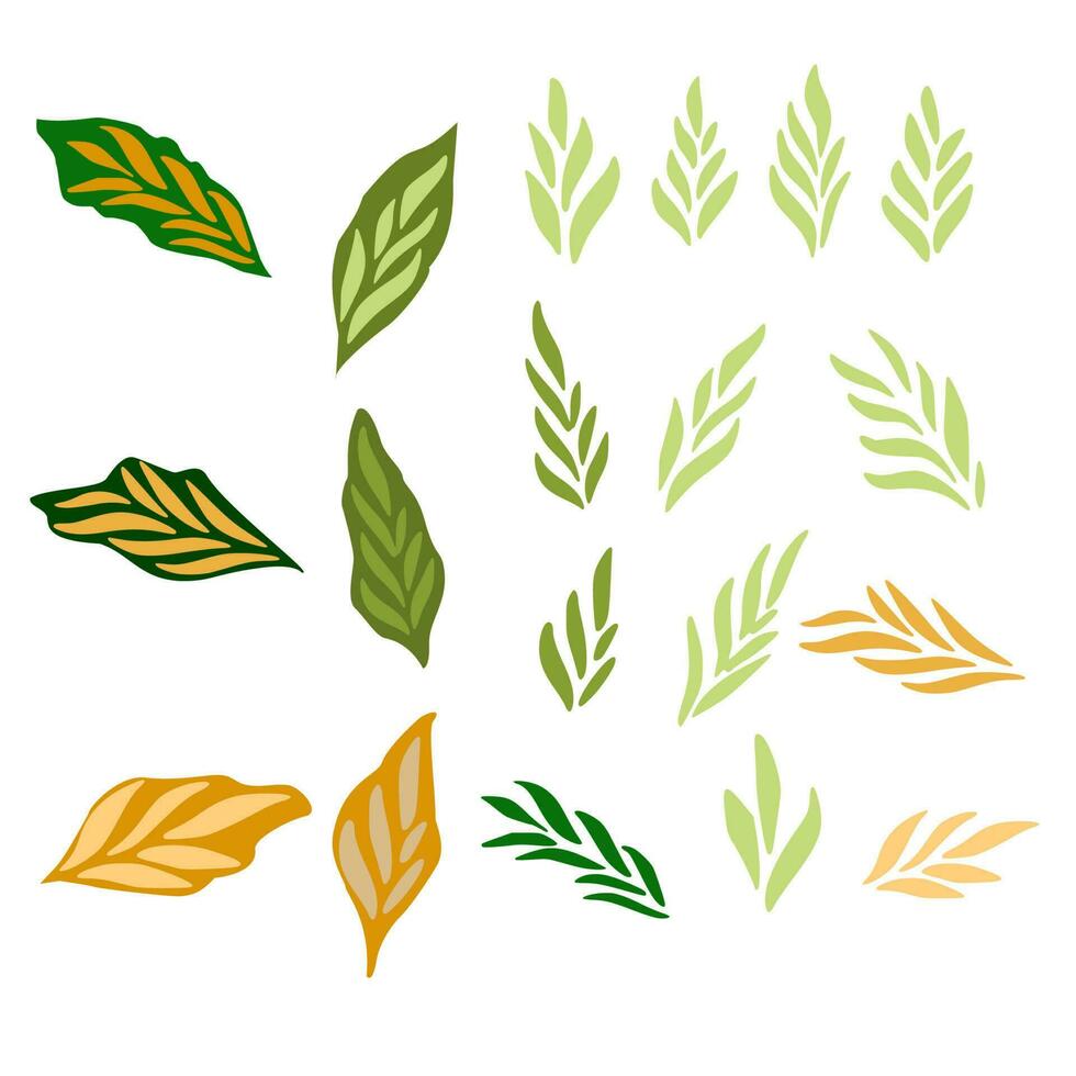 elementos de diseño vectorial conjunto colección de helecho de bosque verde, eucalipto verde tropical vegetación arte follaje hojas naturales hierbas en estilo acuarela. ilustración elegante belleza decorativa para el diseño vector