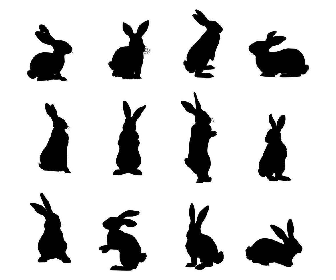 set of rabbit silhouettes in various poses on isolated background vector