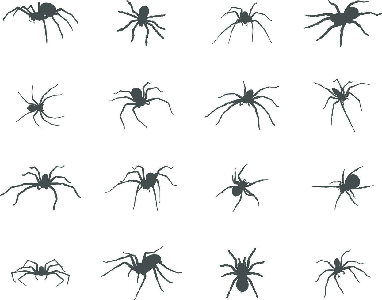 Spider silhouette, Spider vector icon.