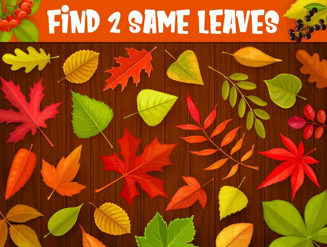 Kids maze game, find two same autumnal leaves vector