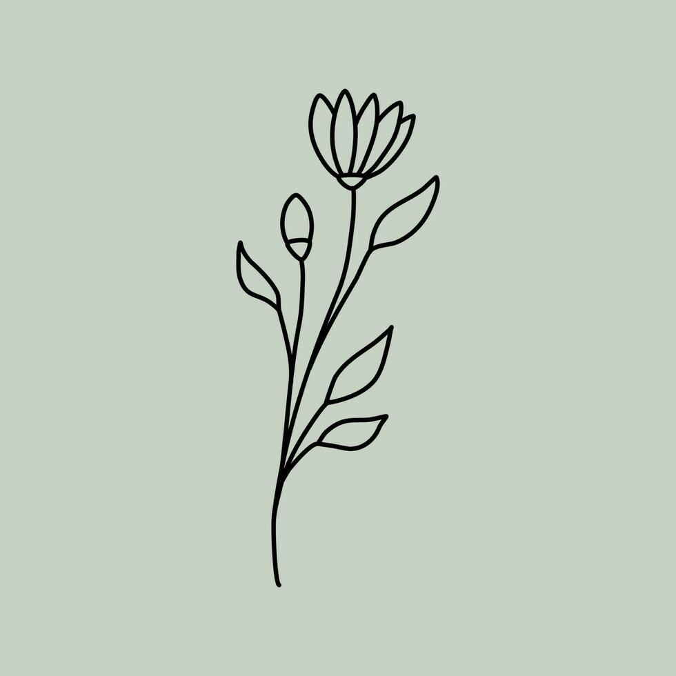 arte de línea floral vector