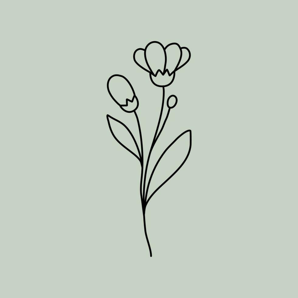 arte de línea floral vector