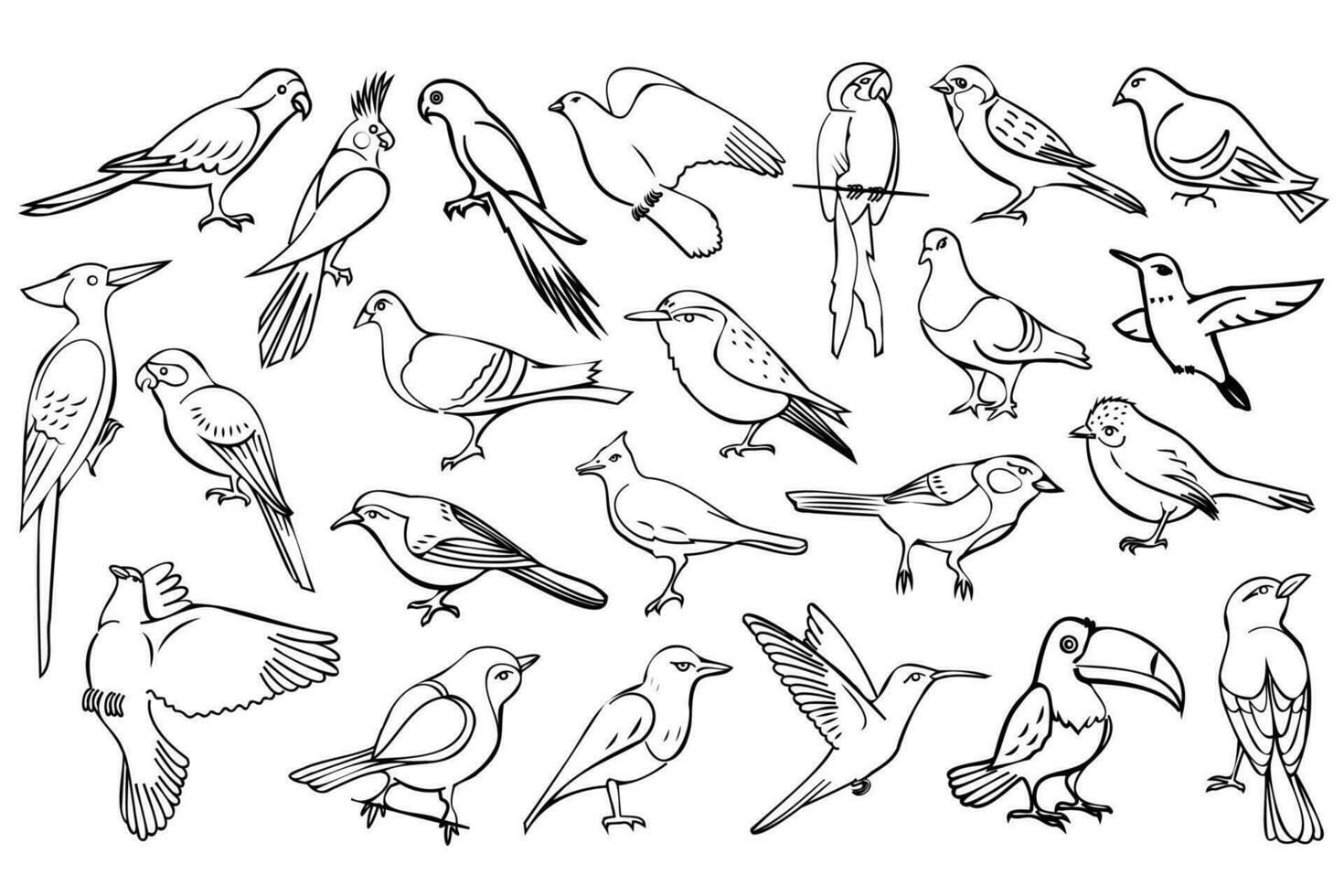 Line art birds. Line drawing illustrations collection from different type birds. Hand drawn wildlife creatures for your design projects. vector