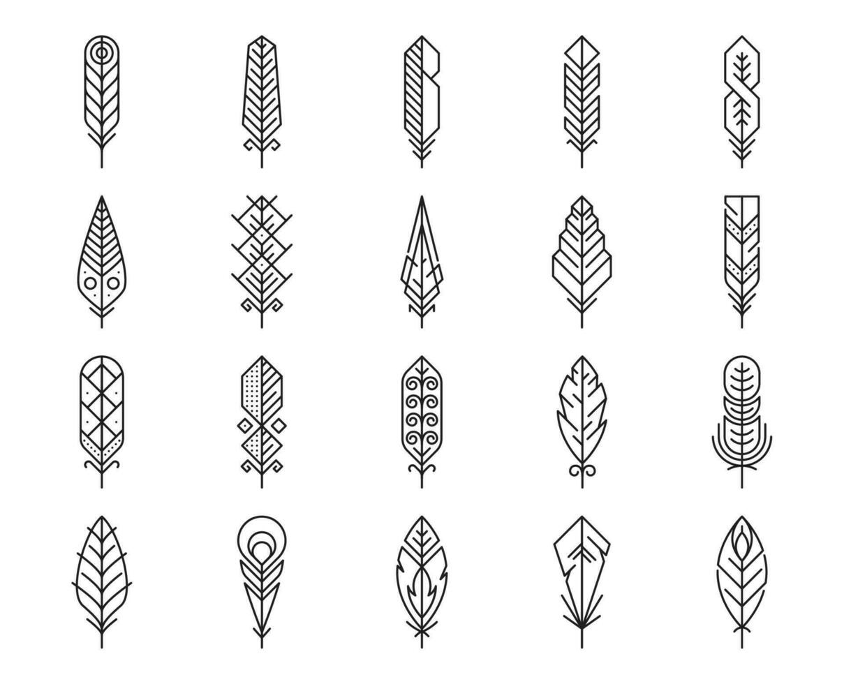 Feather line icons, plume light feathers or quills vector