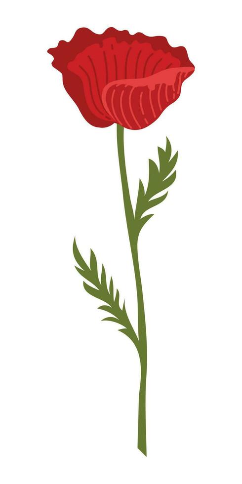 Poppy Flower Element Illustration. Vector red poppies isolated on a white background.