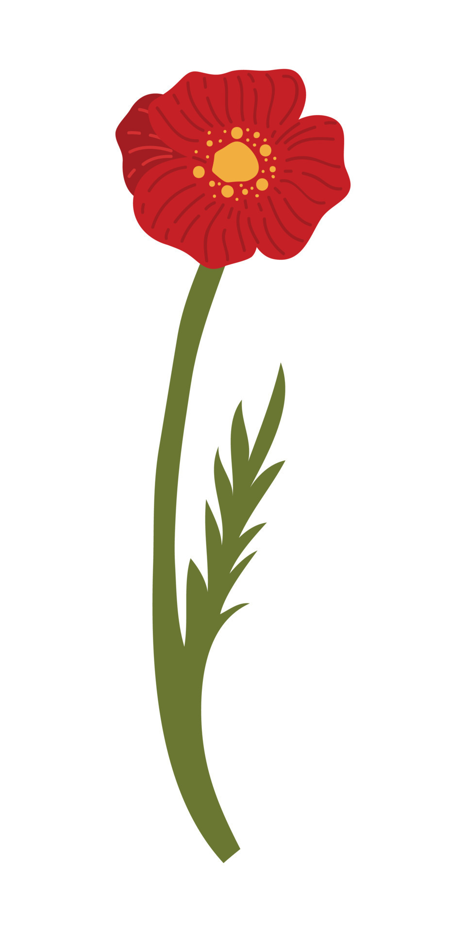 Poppy Flower Element Illustration. Vector red poppies isolated on a ...