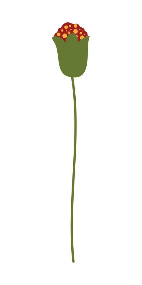 Poppy Flower Element Illustration. Vector red poppies isolated on a white background.